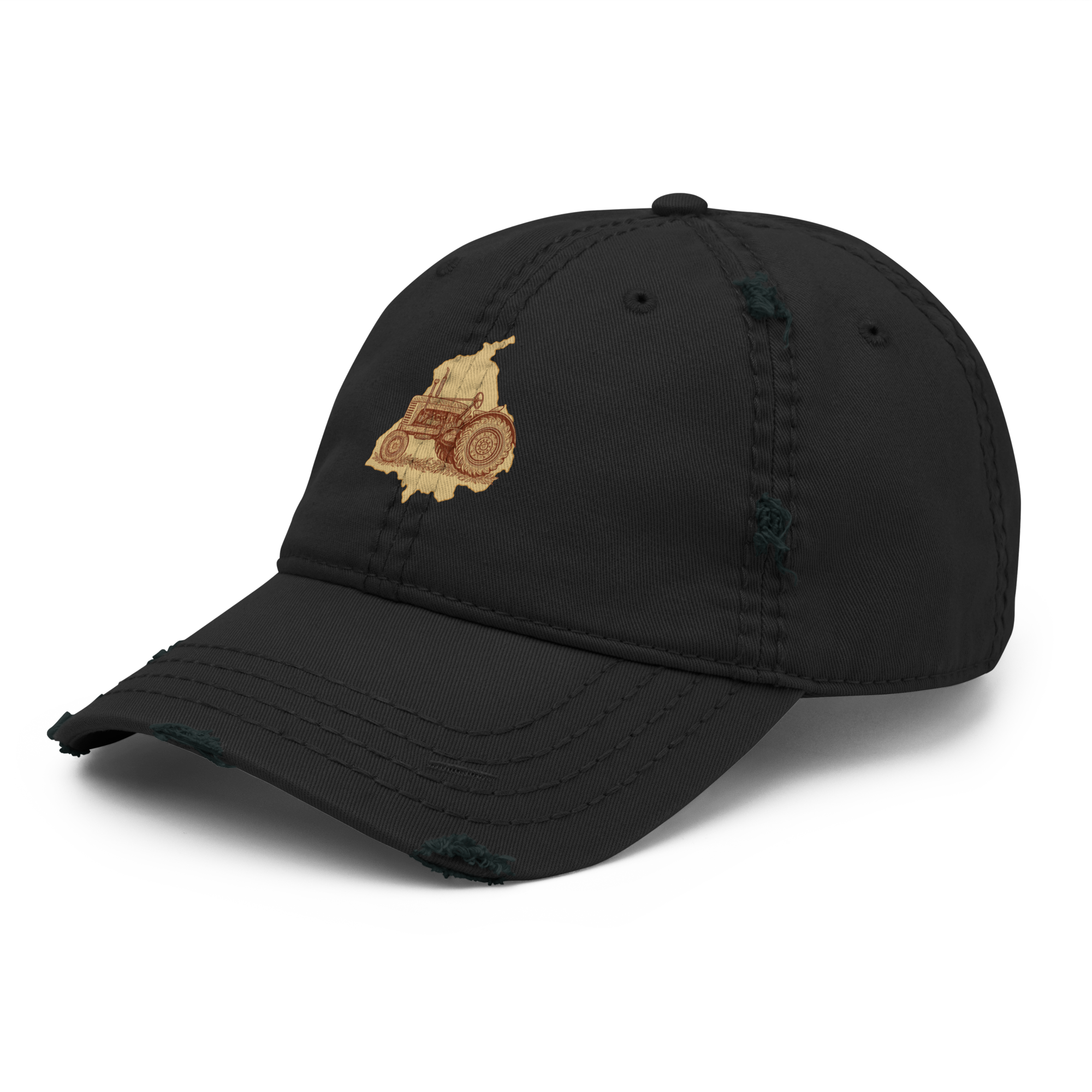 Punjabi Heritage Cap