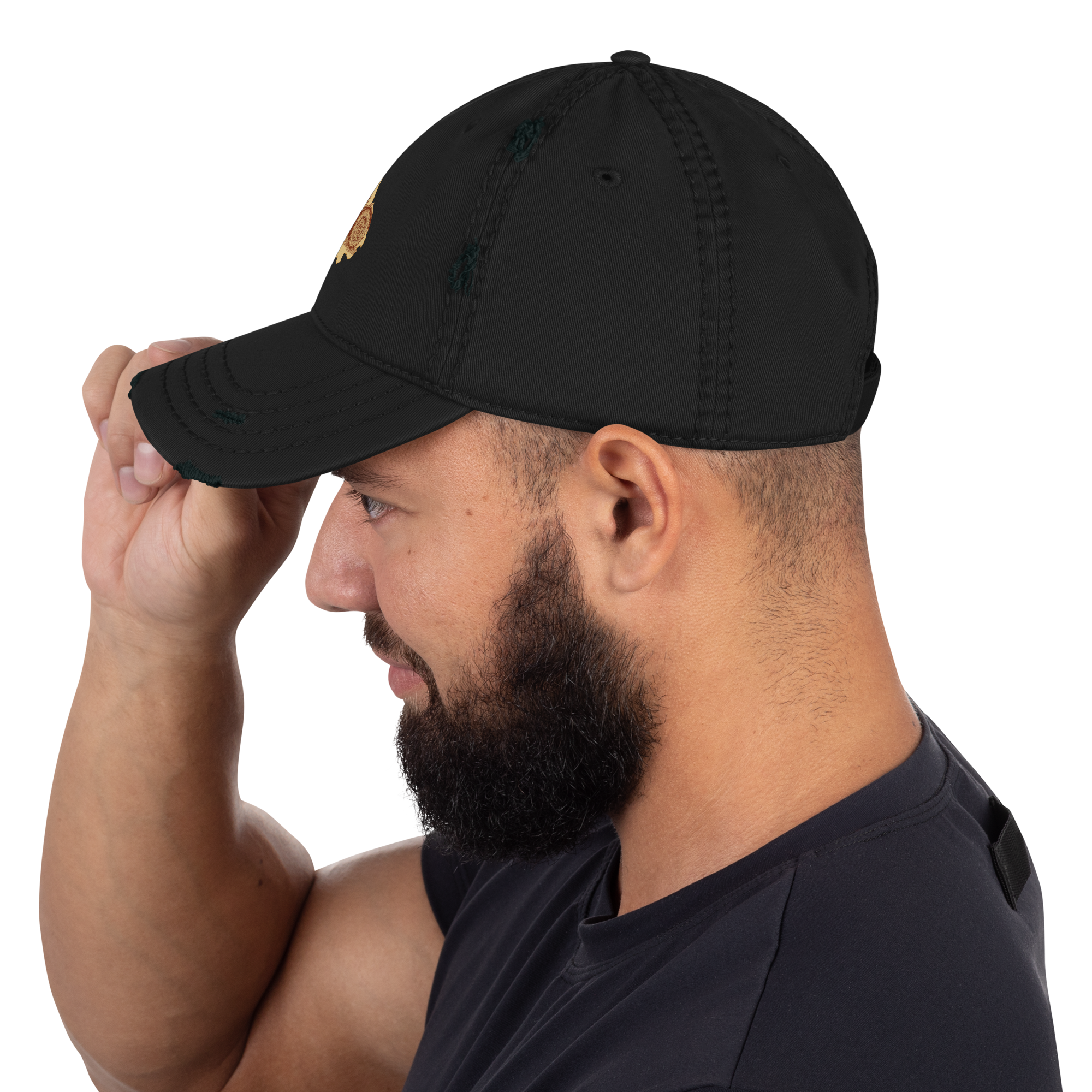 Punjabi Heritage Cap